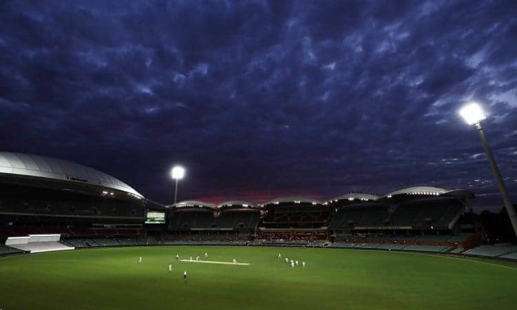 Under lights, Adelaide wicket will be fastest in Australia, says Darren Lehmann