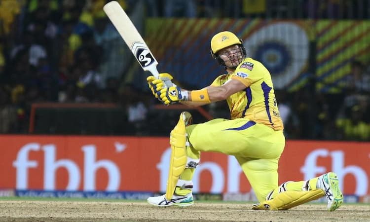Shane Watson