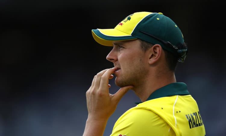 Josh Hazlewood