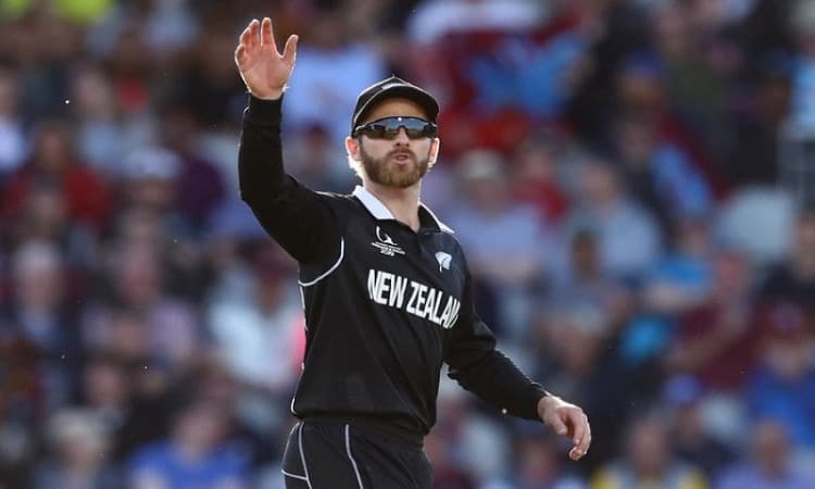 Kane Williamson