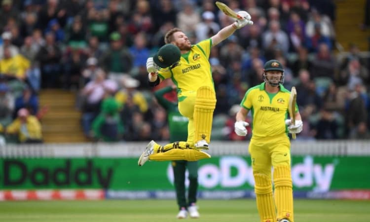David Warner 