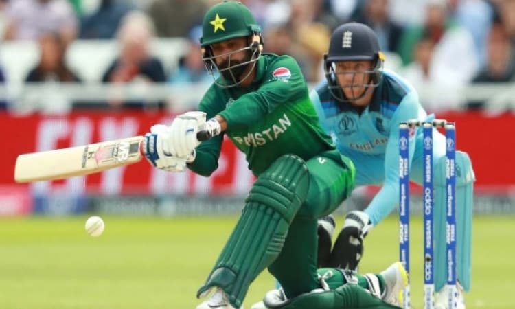 mohammad hafeez