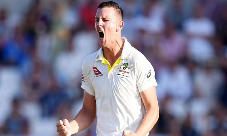 Josh Hazlewood