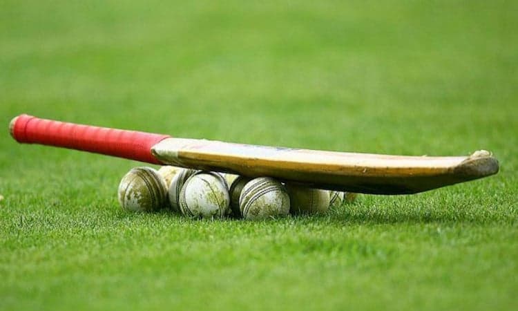 Cricket