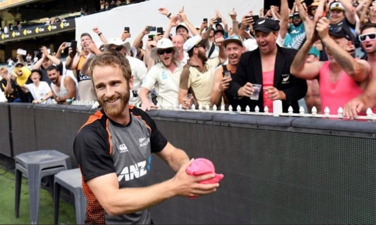 Kane Williamson