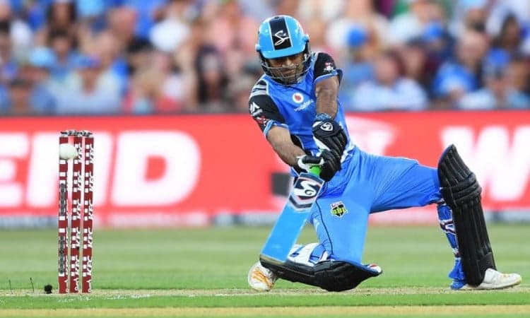 Rashid Khan camel bat