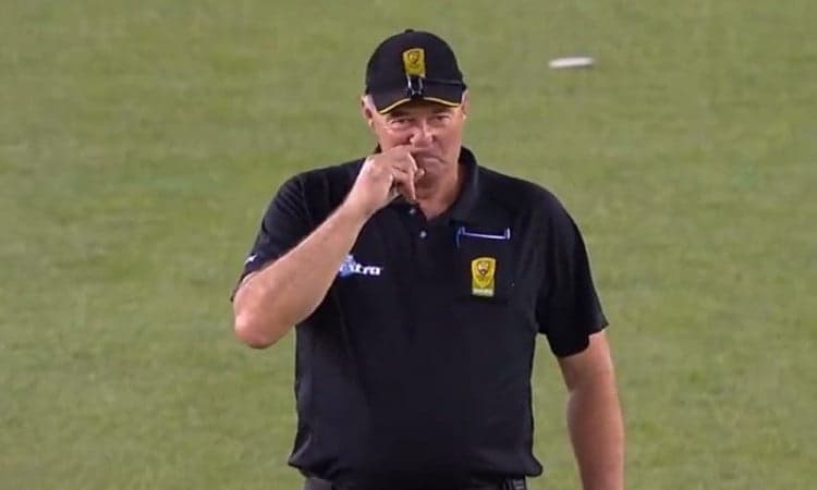 umpire Greg Davidson