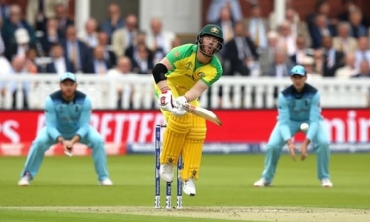 David Warner