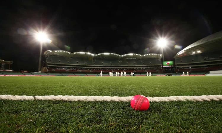 image for cricket pink ball test match history 