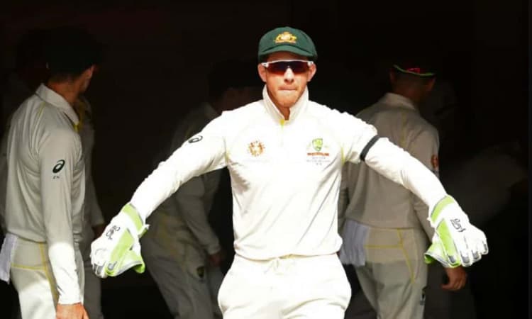 Cricket Image for Tim Paine Apologises To New Zealand For Predicting India Would Be Easy Winners