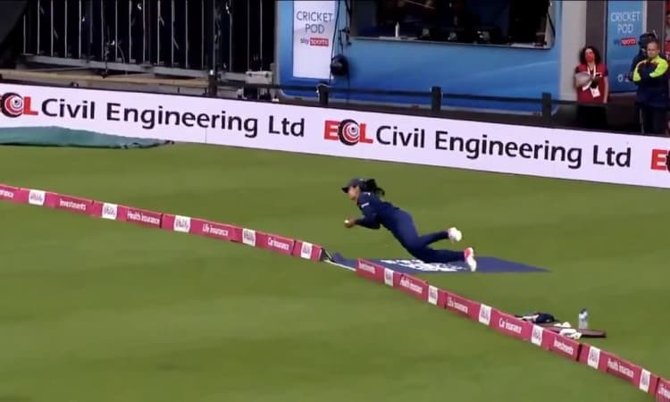 Cricket Image for WATCH: Harleen's Jaw-Dropping Catch Dwarfs India's Loss