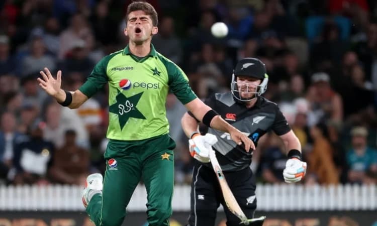 Cricket Image for Pakistan-New Zealand Series To Witness 25% Crowd Capacity