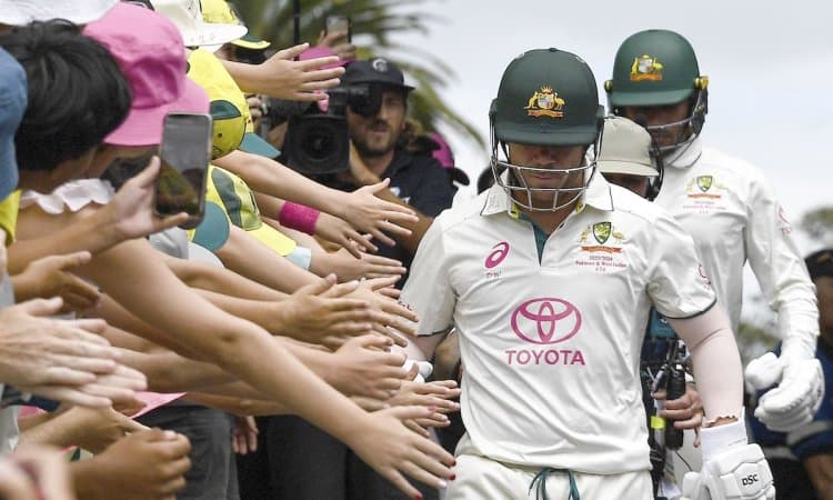 David Warner