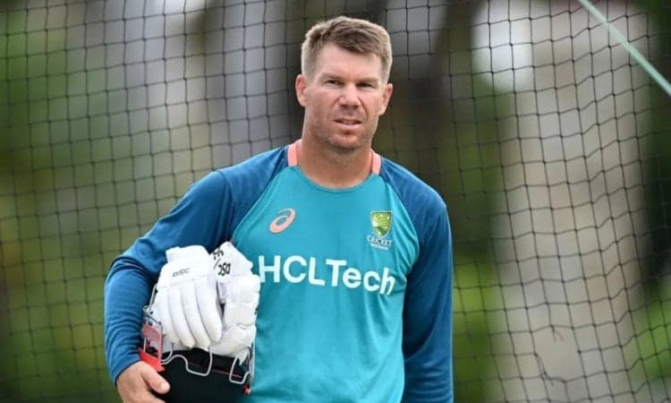 David Warner Aware Of 'Seriousness' Of Drink-Driving Charges: Cricket NSW