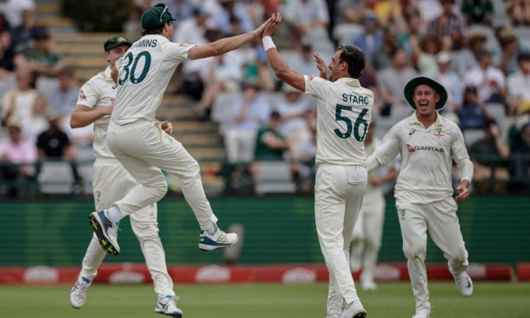 Mitchell Starc Takes 6 As Australia Fight Back In South Africa Decider