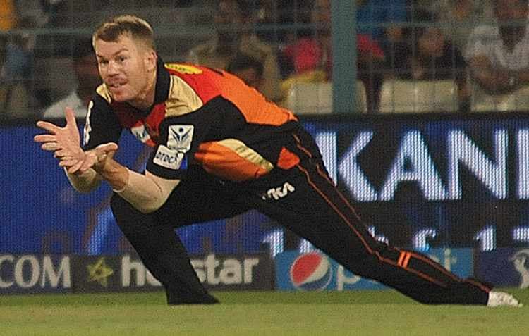 David Warner Image